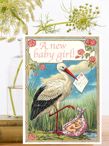 WT020P ~ New Baby Girl Card